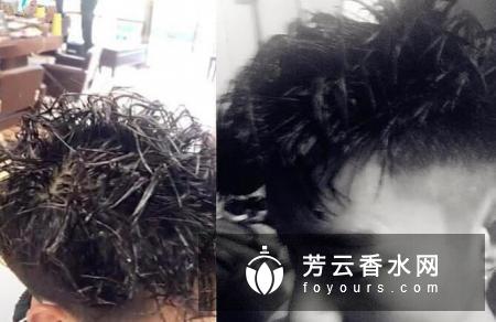 抖音蚂蚱烫发型图片大全哪里有?最近抖音上有一股发型的潮流风向