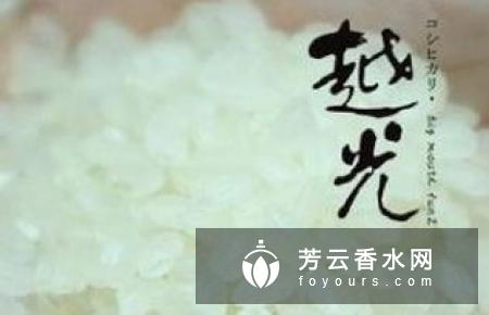 日本大米面霜怎么用 多少钱