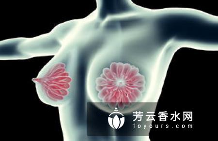 副乳怎么按摩消除?副乳和乳腺增生的区别?