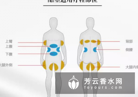 冷冻溶脂会反弹吗?价格多少