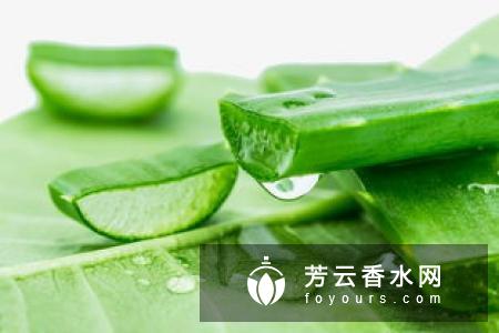 完美芦荟胶是什么味道 要冷冻吗