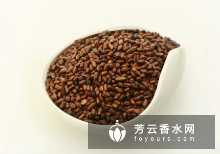 决明子减肥生的好还是熟的好 效果怎么样
