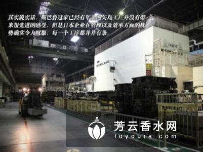 Coppertone确美同是什么牌子 这个品牌怎么样