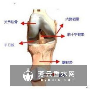 爬楼梯有什么好处 膝盖痛怎么办