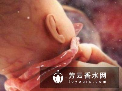 纹眉吃虾了怎么办?哪些人不适合纹眉?