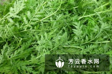 古龙水女生可以用吗 试香方法有哪些