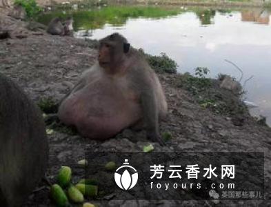 游泳后可以吃东西吗 吃什么比较好